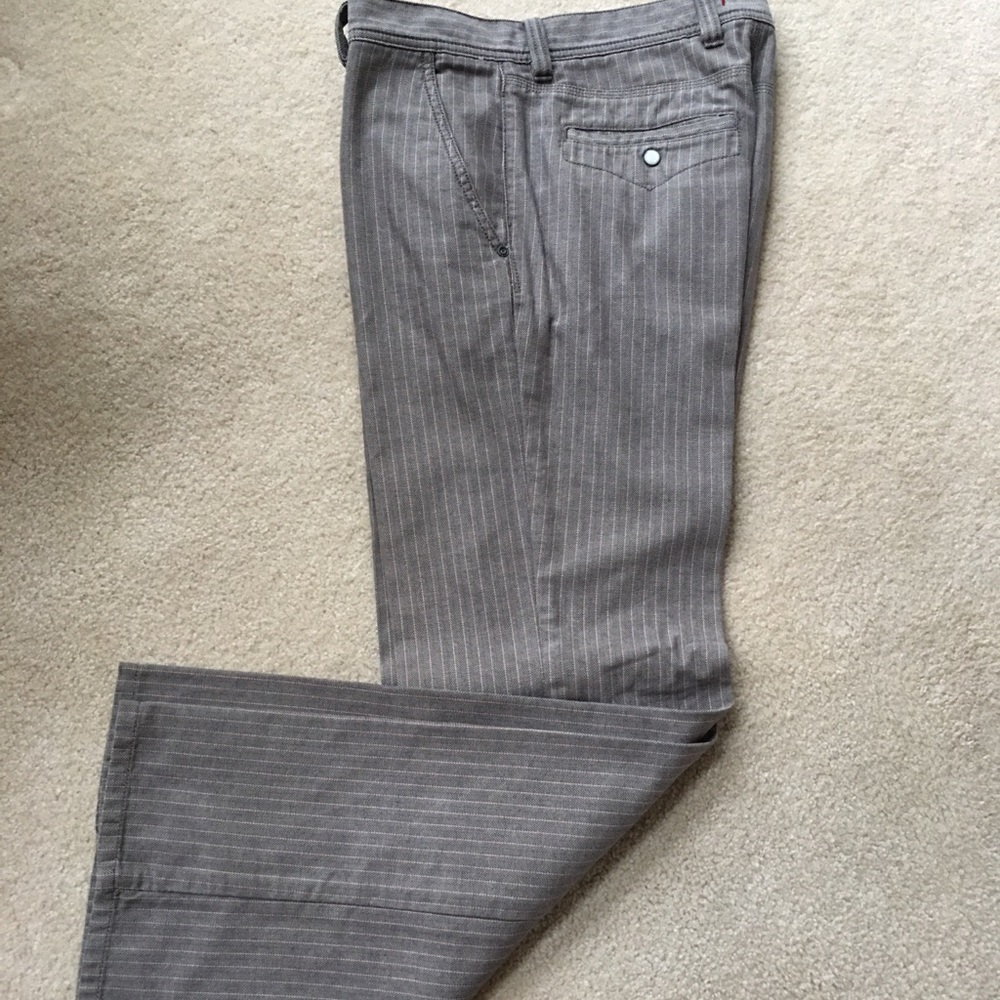Express casual pant